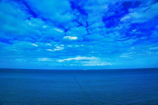 東京湾 東京湾の写真