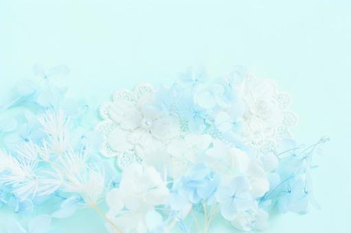 青い花の背景 青い花,花,背景の写真素材