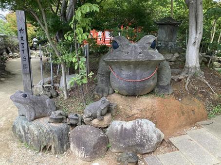 かえる寺 かえる寺 かえる寺,福岡県小郡市,如意輪寺の写真素材