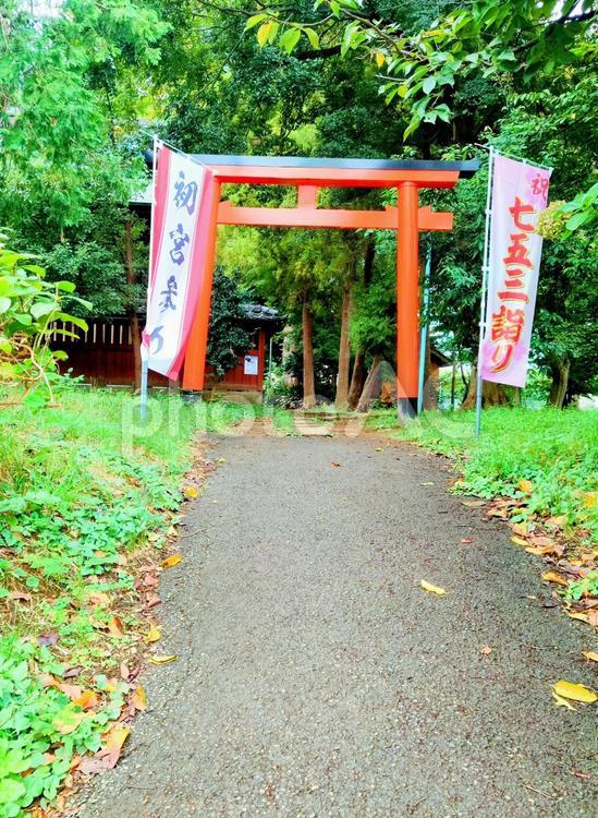 時の流れを感じる田舎の鳥居 田舎,自然,緑の写真素材
