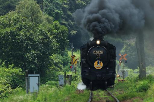 SLやまぐち号 D51 SLやまぐち号 D51の写真