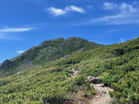夏の悪沢岳へ登山19 夏の悪沢岳へ登山19 南アルプス,悪沢岳,荒川岳の写真素材