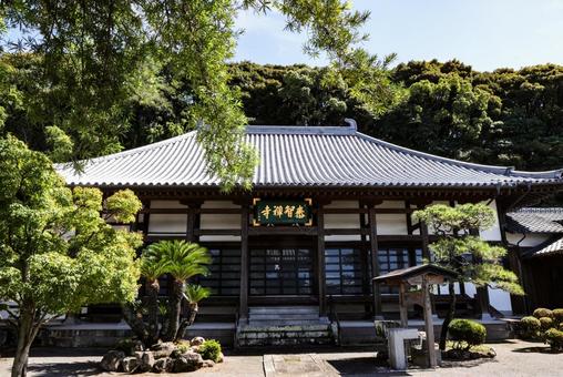 永渓山泰智寺 永渓山泰智寺 寺院,寺,本堂の写真素材