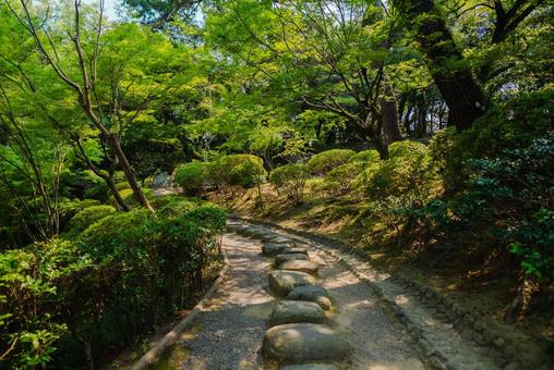 【和歌山】和歌山城 2025 【和歌山】和歌山城 2025の写真
