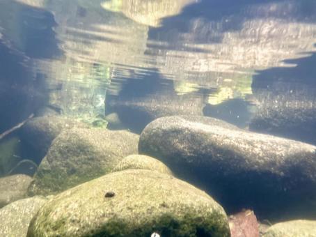 Underwater in a clear mountain stream ⑤, JPG Underwater in a clear mountain stream ⑤, JPG