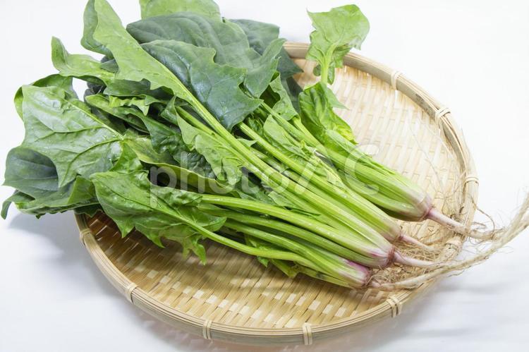 京ほうれん草 京ほうれん草,ほうれん草,京野菜の写真素材