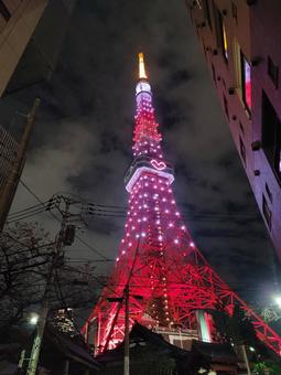 東京タワー ピンク,東京タワー,レアの写真素材