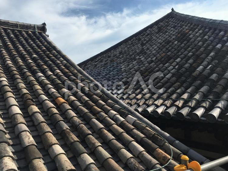 元興寺　行基葺　飛鳥時代の瓦　禅室　屋根 元興寺,行基葺,飛鳥時代の瓦の写真素材