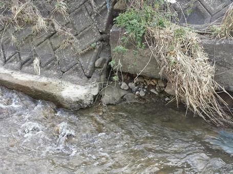 護岸の亀裂と流れる水 護岸の亀裂と流れる水 護岸,河川,ひび割れの写真素材