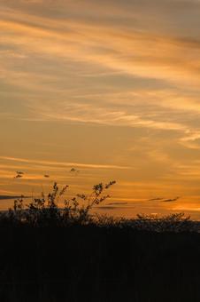 朝焼け マジックアワー,早朝,朝の写真素材