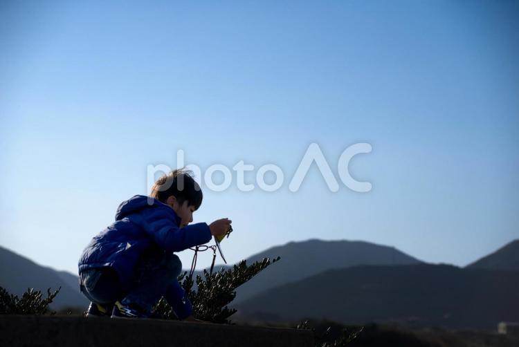 R素材＞春の朝スマホで青空を撮影する少年 子供,青空,スマホの写真素材