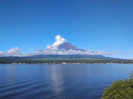 富士山 富士山 富士山,夏山,山中湖の写真素材