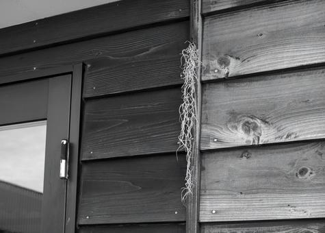 大漁と安全を願う玄関の飾り 江差町,古民家,玄関の写真素材