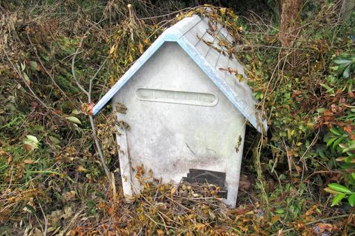 草むらに放置された古い犬小屋 犬小屋,家,ハウスの写真素材