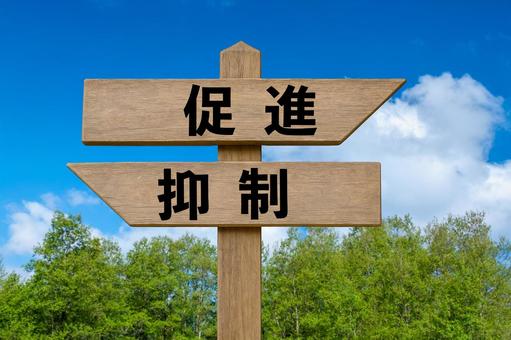 道しるべと新緑の林と青空（促進・抑制） 促進,抑制,道しるべの写真素材