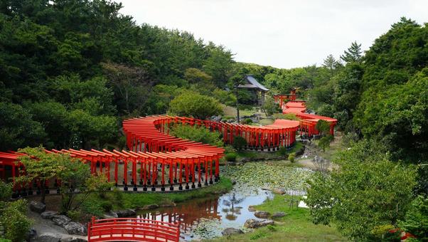 高山稲荷神社の鳥居 高山稲荷神社の鳥居 高山稲荷神社,神社,神道の写真素材