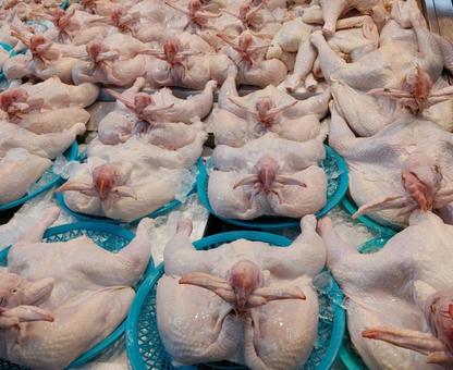 韓国市場の鶏肉の写真