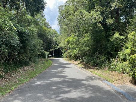 田舎道2 田舎道2の写真