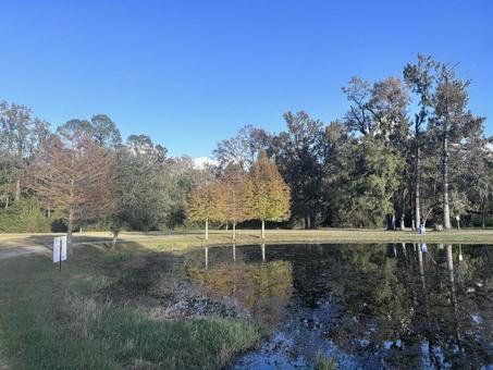 秋色の木々と池の静かな風景 秋,池,反射の写真素材