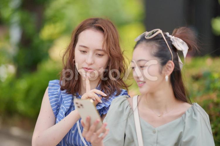 公園でスマートフォンを見ている2人の女性 女子旅,女性,日本人の写真素材