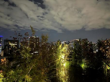 夜景 夜景の写真