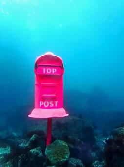 海の底のポスト 海,ポスト,海底の写真素材