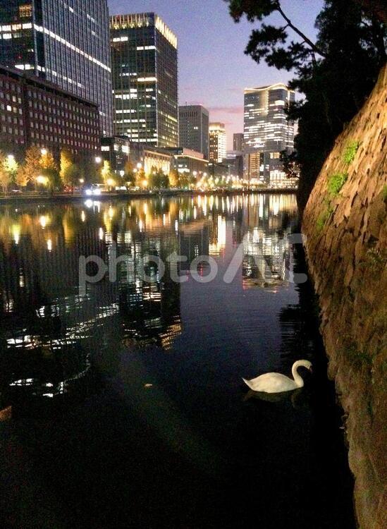 東京風景・二重橋前 二重橋前,皇居外苑,堀の写真素材