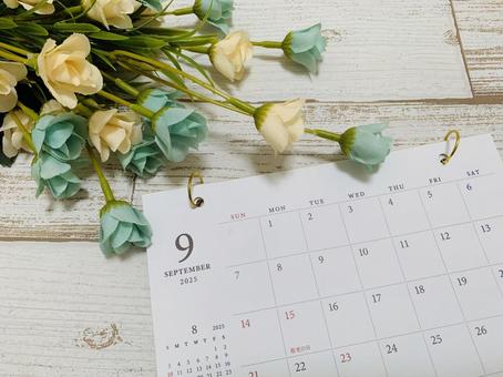 9月カレンダー 緑の花 9月カレンダー 緑の花 9月,9月カレンダー,秋の写真素材
