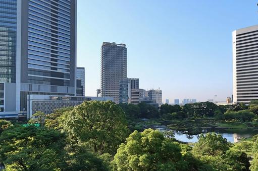 旧芝離宮恩賜庭園と高層ビル 旧芝離宮恩賜庭園と高層ビル 旧芝離宮恩賜庭園,高層ビル,浜松町の写真素材
