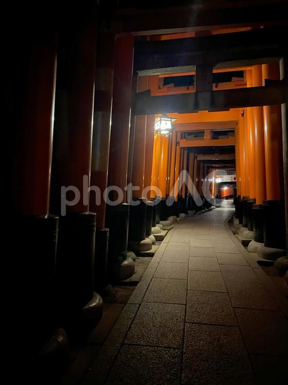 夜の伏見稲荷大社の鳥居 京都,日本,日本の風景の写真素材