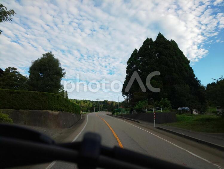 自然の風景 自動車,道路,木の写真素材