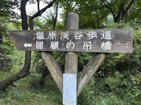 回顧の吊橋 風景 回顧の吊橋 風景 回顧の吊橋,風景,塩原渓谷歩道の写真素材