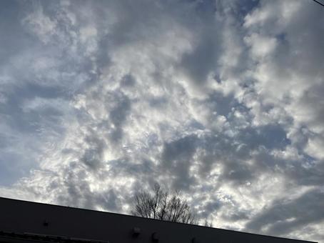 朝の雲 朝の雲の写真