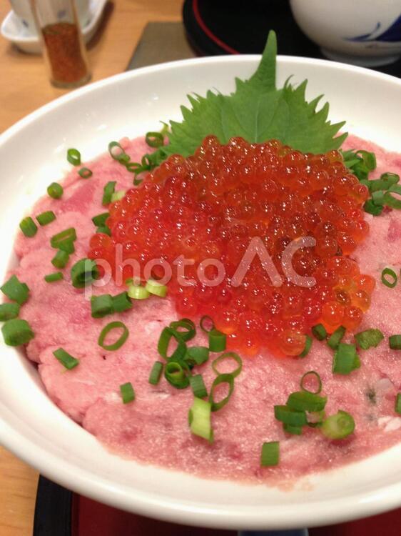 いくら・ネギトロ・丼 海鮮,マグロ,ネギトロの写真素材