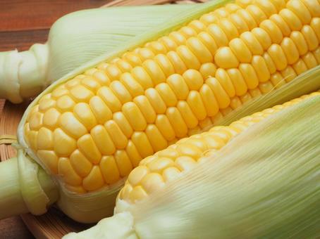 corn, JPG corn, JPG
