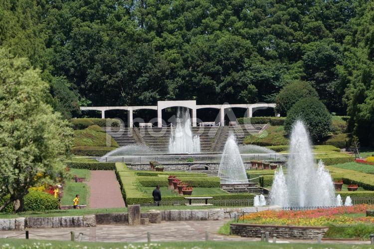 公園の噴水 自然,美しい,ガーデンの写真素材