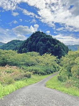 山へと続く道 山へと続く道の写真