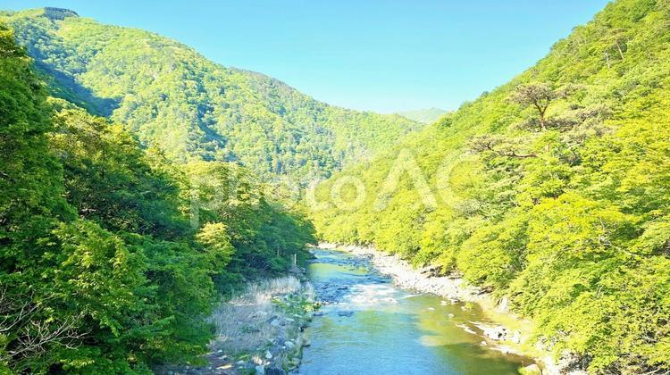 栃木県那須塩原市　河川　青空と緑 川,栃木県,那須塩原市の写真素材