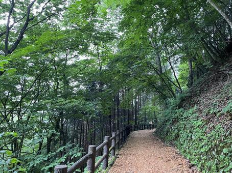 Photo, the scenery, tunnel, three heads mountain, 