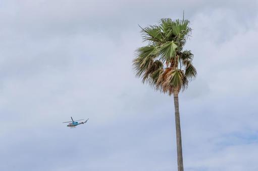 鈍色の空を縫う者 鈍色の空を縫う者 飛行機,航空機,旅客機の写真素材