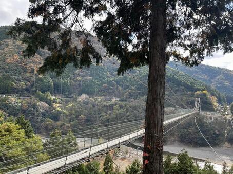 谷瀬の吊り橋　3 谷瀬の吊り橋,吊り橋,奈良県の写真素材