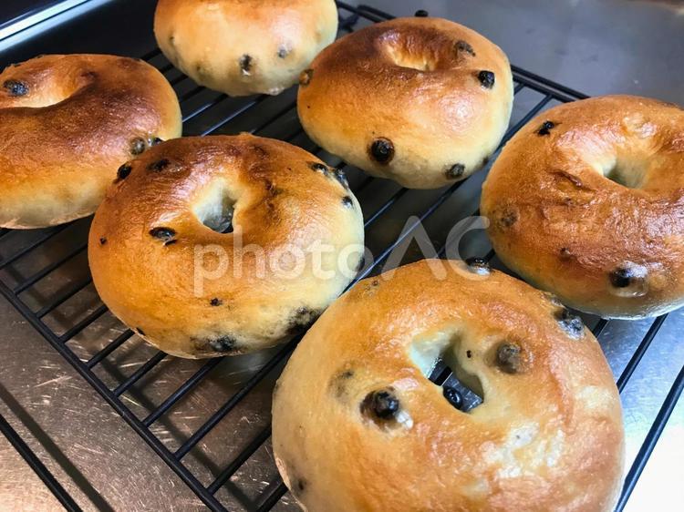 手作りブルーベリーベーグル２ ベーグル,ブルーベリー,レーズンパンの写真素材