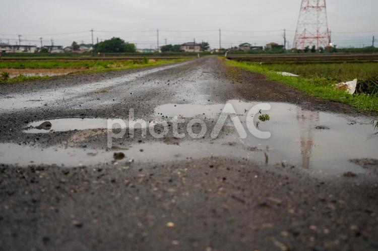 田んぼのあぜ道の水たまり 風景,水田,田んぼの写真素材