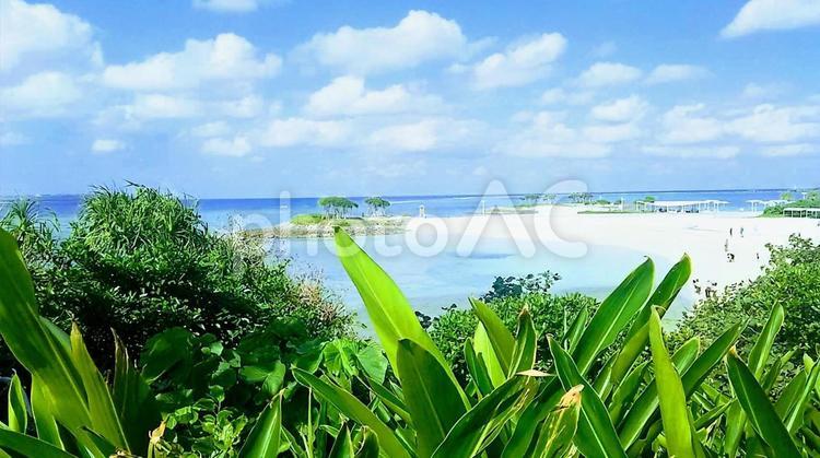 沖縄の風景 夏,summer,空の写真素材