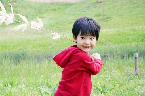 草木で遊ぶ笑顔の幼児の男の子 草木で遊ぶ笑顔の幼児の男の子 子供,青空,幼児の写真素材
