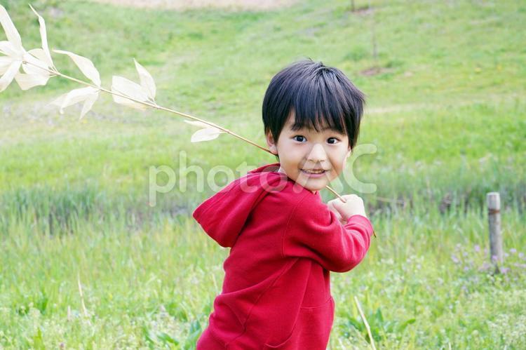 草木で遊ぶ笑顔の幼児の男の子 子供,青空,幼児の写真素材
