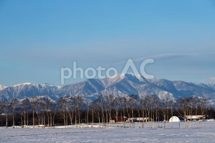 日高山脈と冬の牧場 日高山脈,牧場,雪山の写真素材