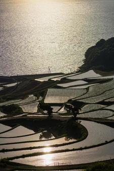 佐賀-【土谷棚田の夕景】 佐賀-【土谷棚田の夕景】 佐賀県,佐賀,松浦市の写真素材