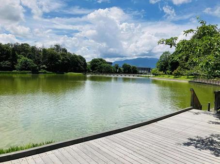 Photo, kashihara shrine, kashihara city, nara prefecture, a shrine, 