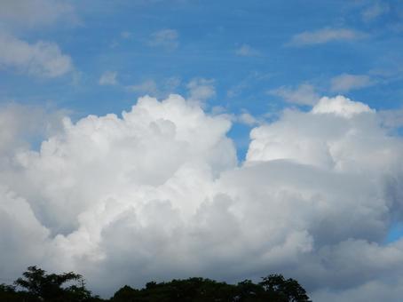 【空の写真】夏空 【空の写真】夏空の写真